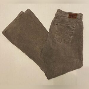 Lauren Ralph Lauren Classic Bootcut Cords